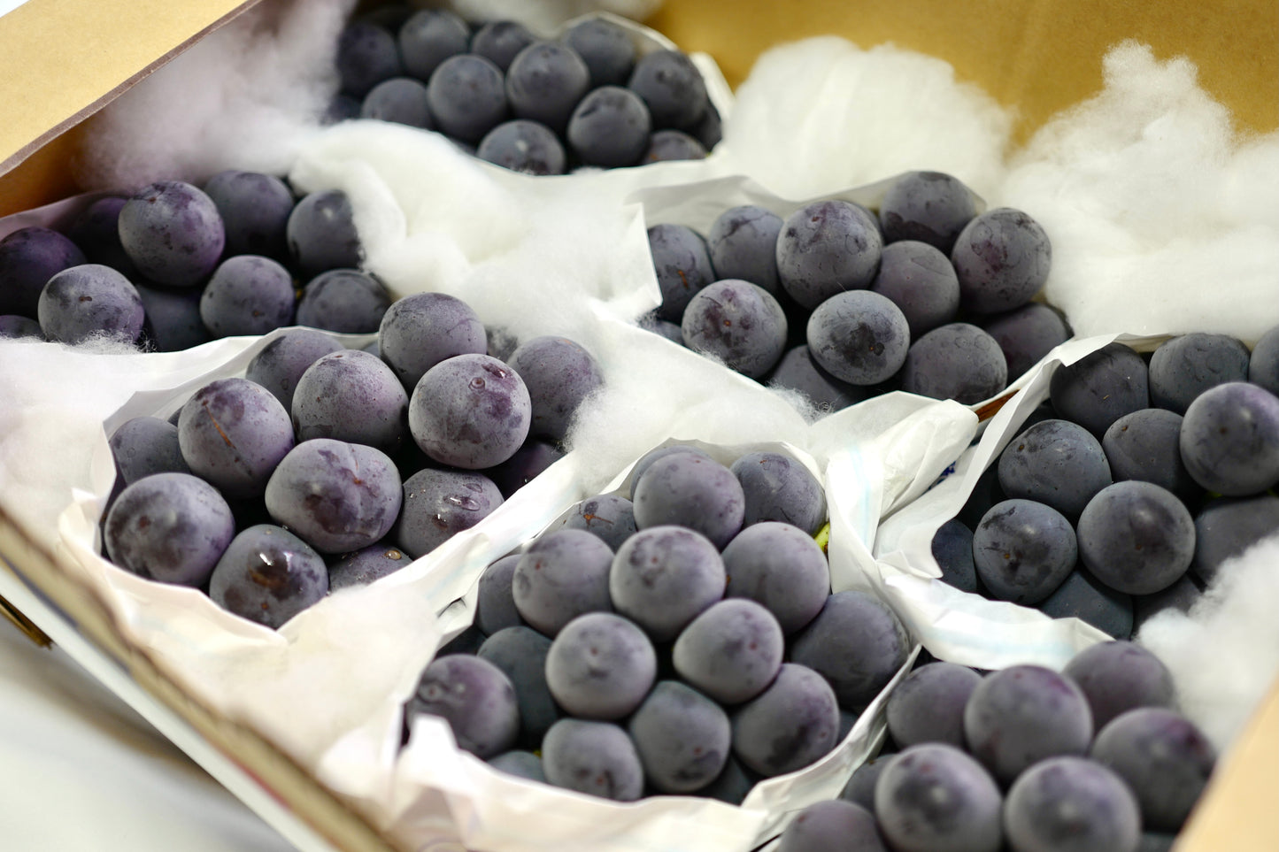 Okayama Kyoho grape