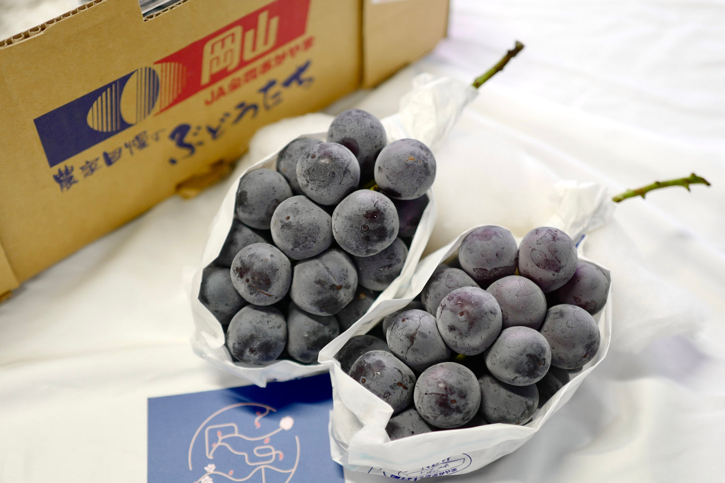 Okayama Kyoho grape