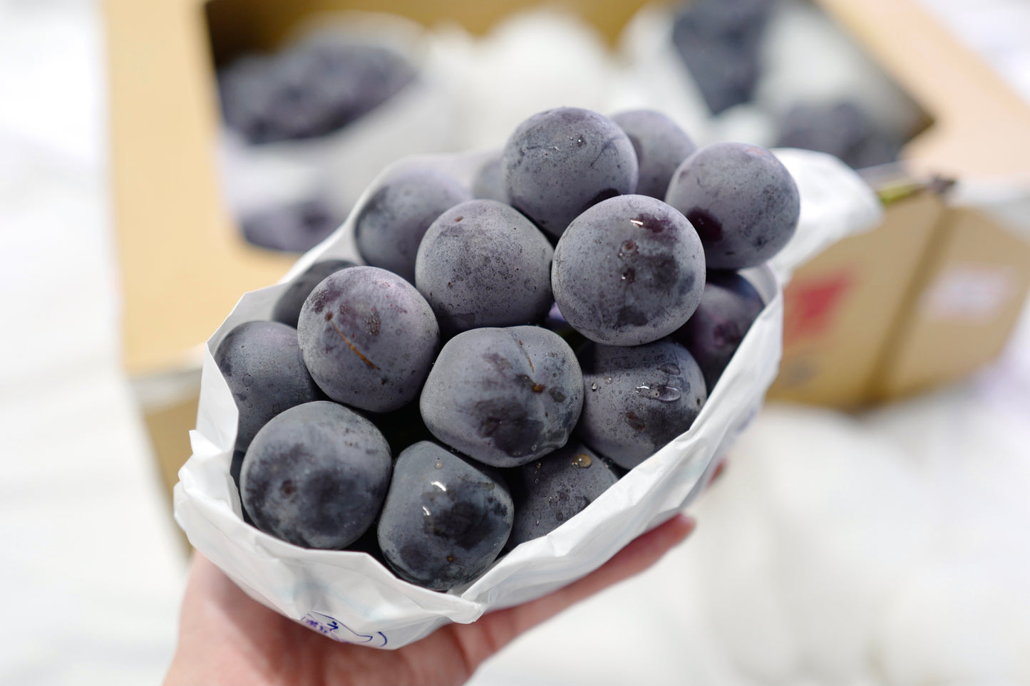Okayama Kyoho grape
