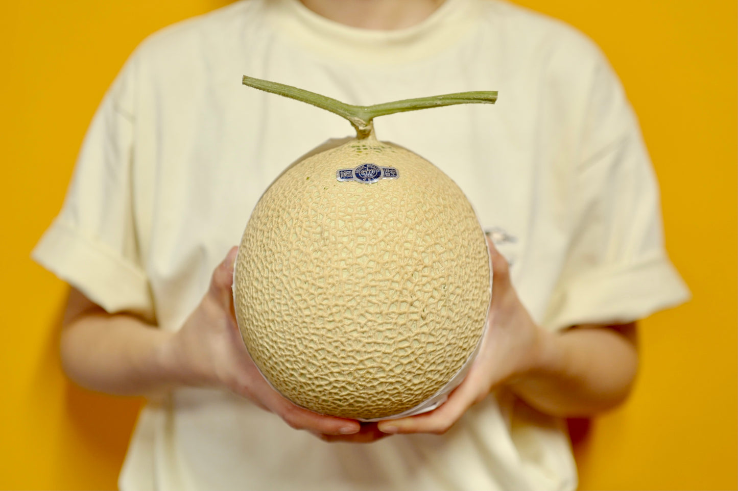 Shizuoka honeydew melon