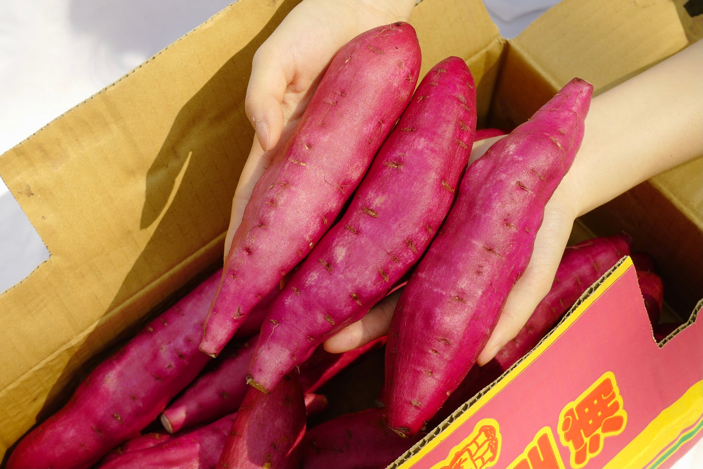 Tokushima Kintoki Sweet Potatoes
