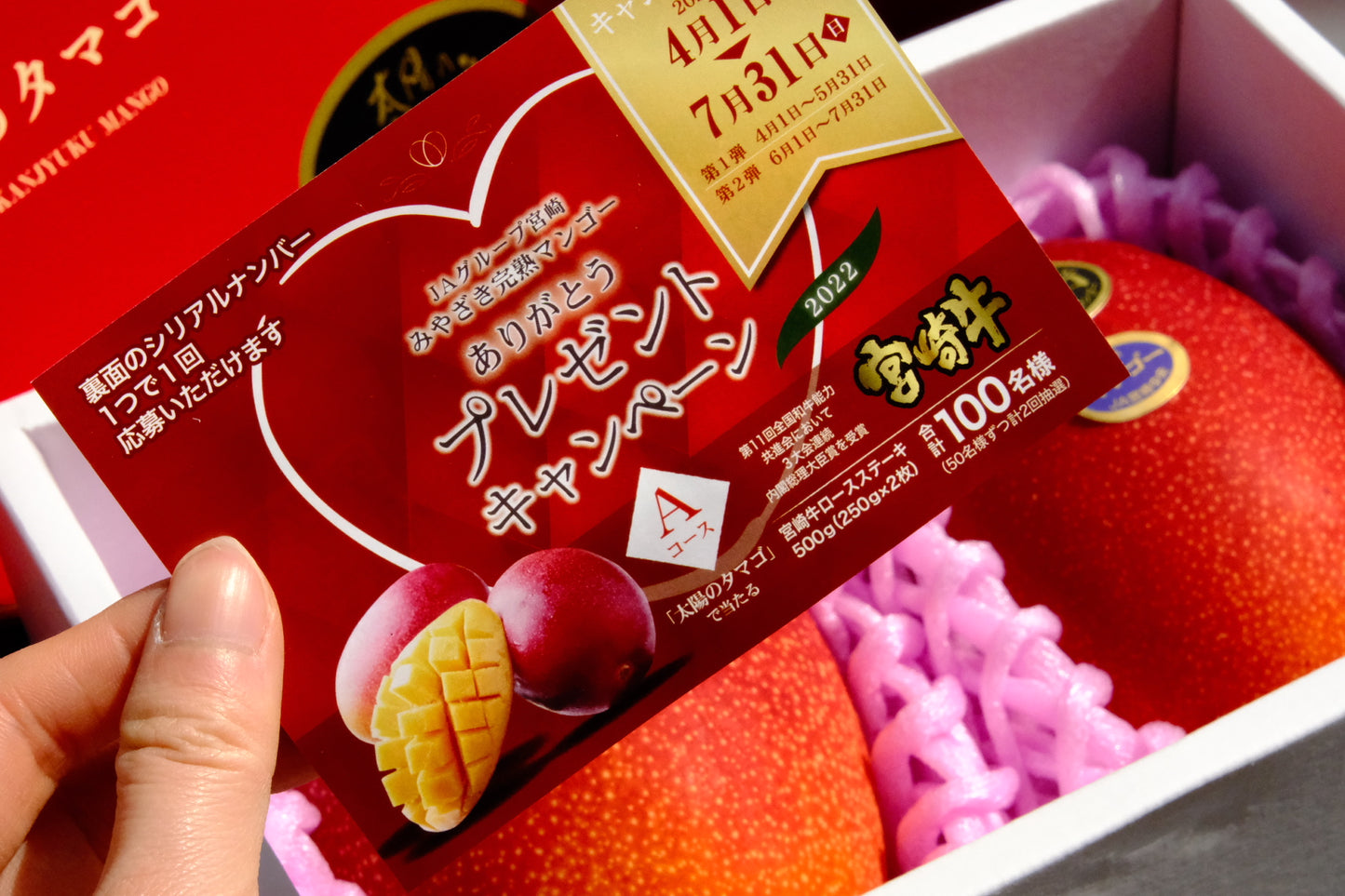 Miyazaki Son of the Sun Mango