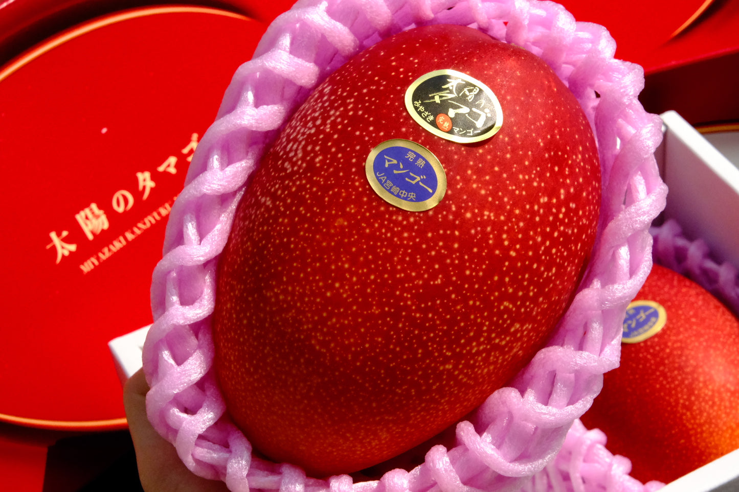 Miyazaki Son of the Sun Mango