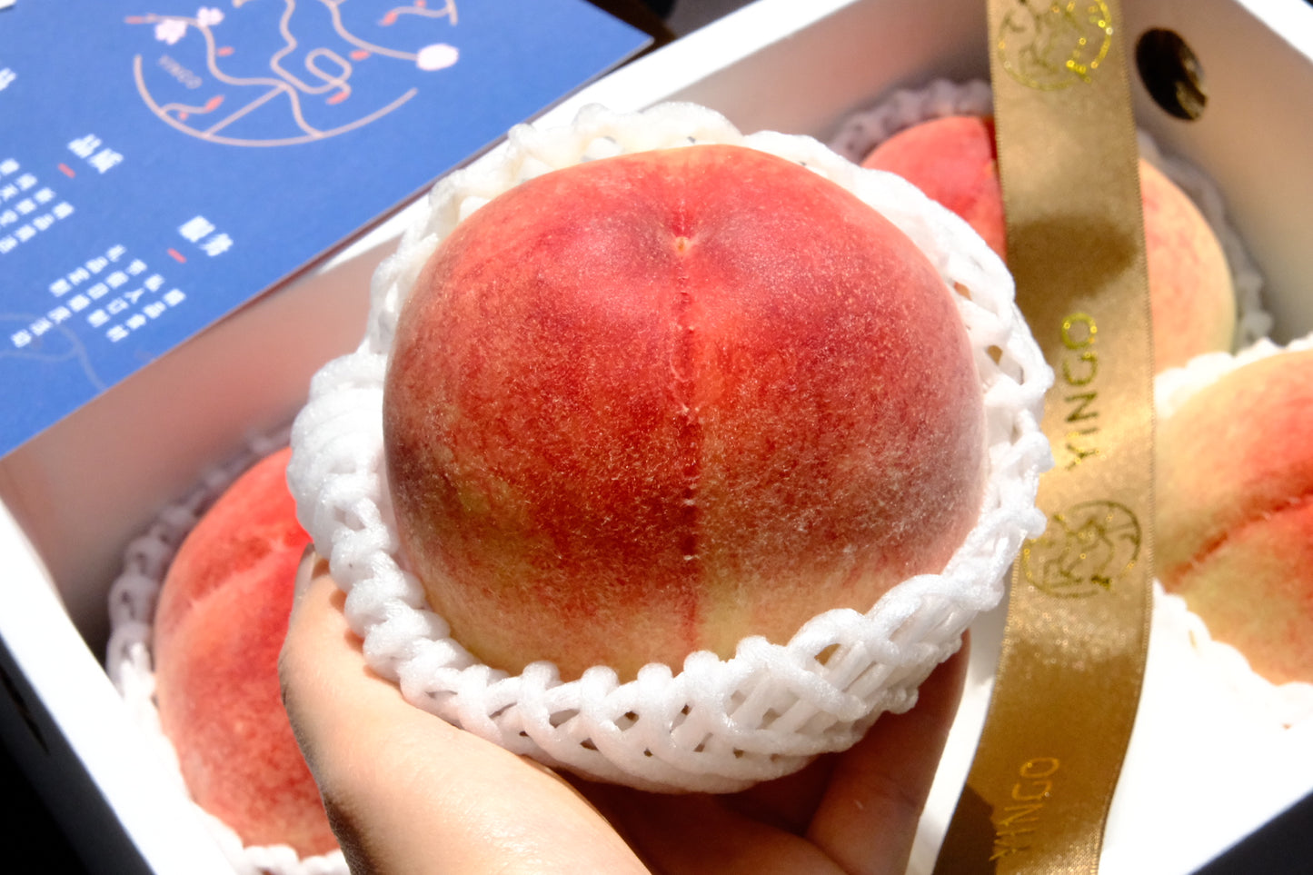 Yamanashi Greenhouse Peach