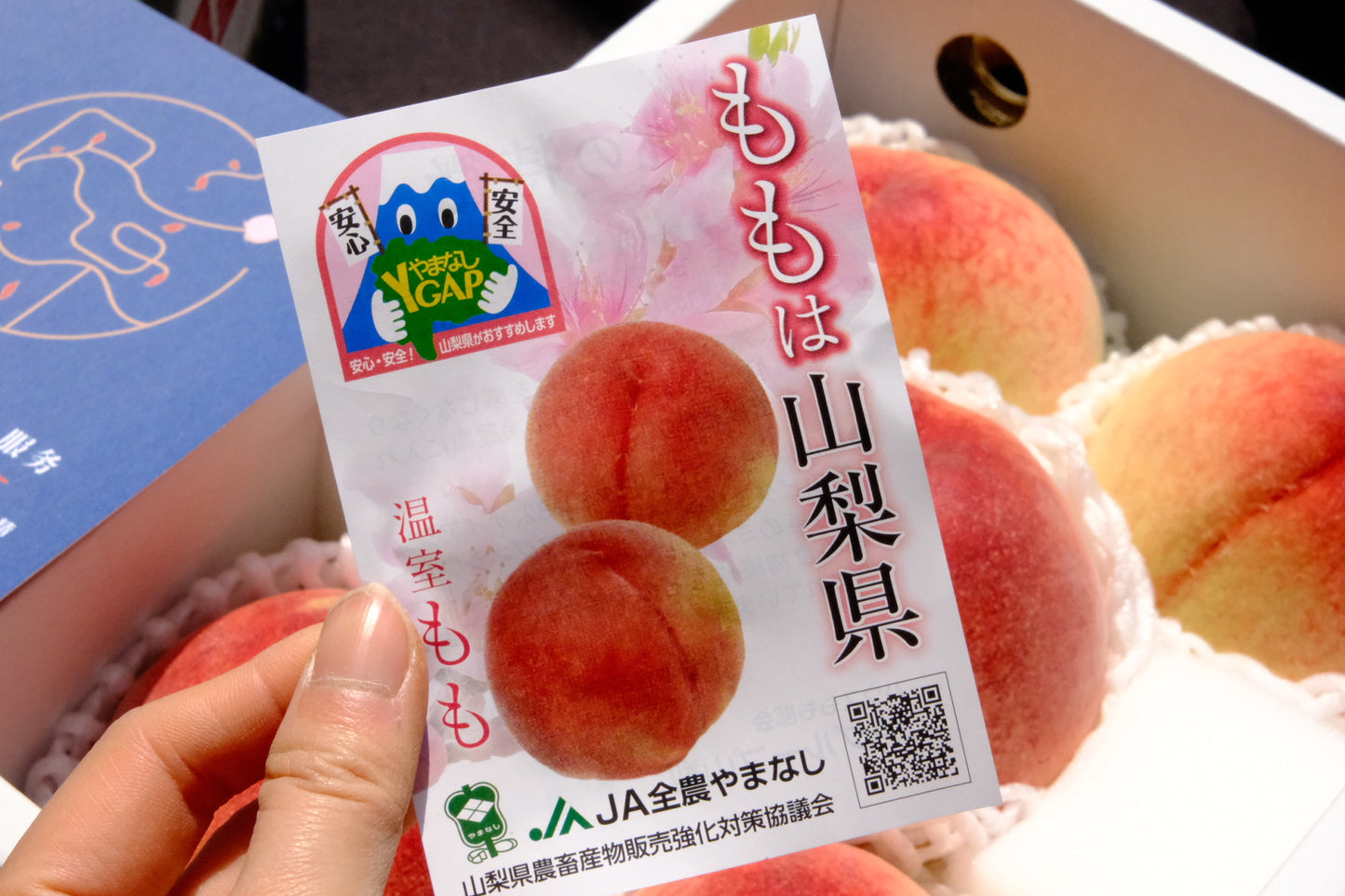 Yamanashi Greenhouse Peach