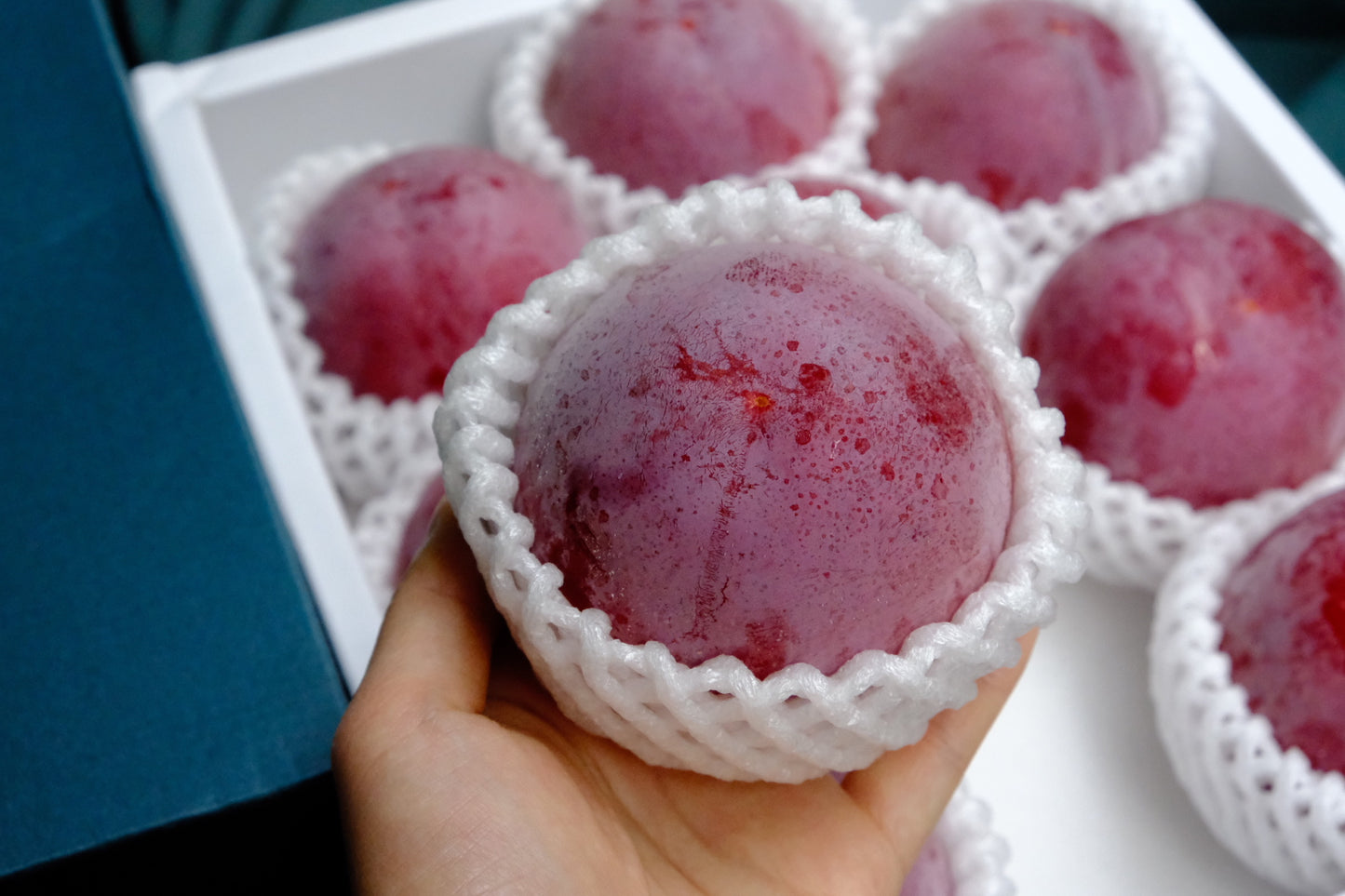 Yamanashi Guiyang plum