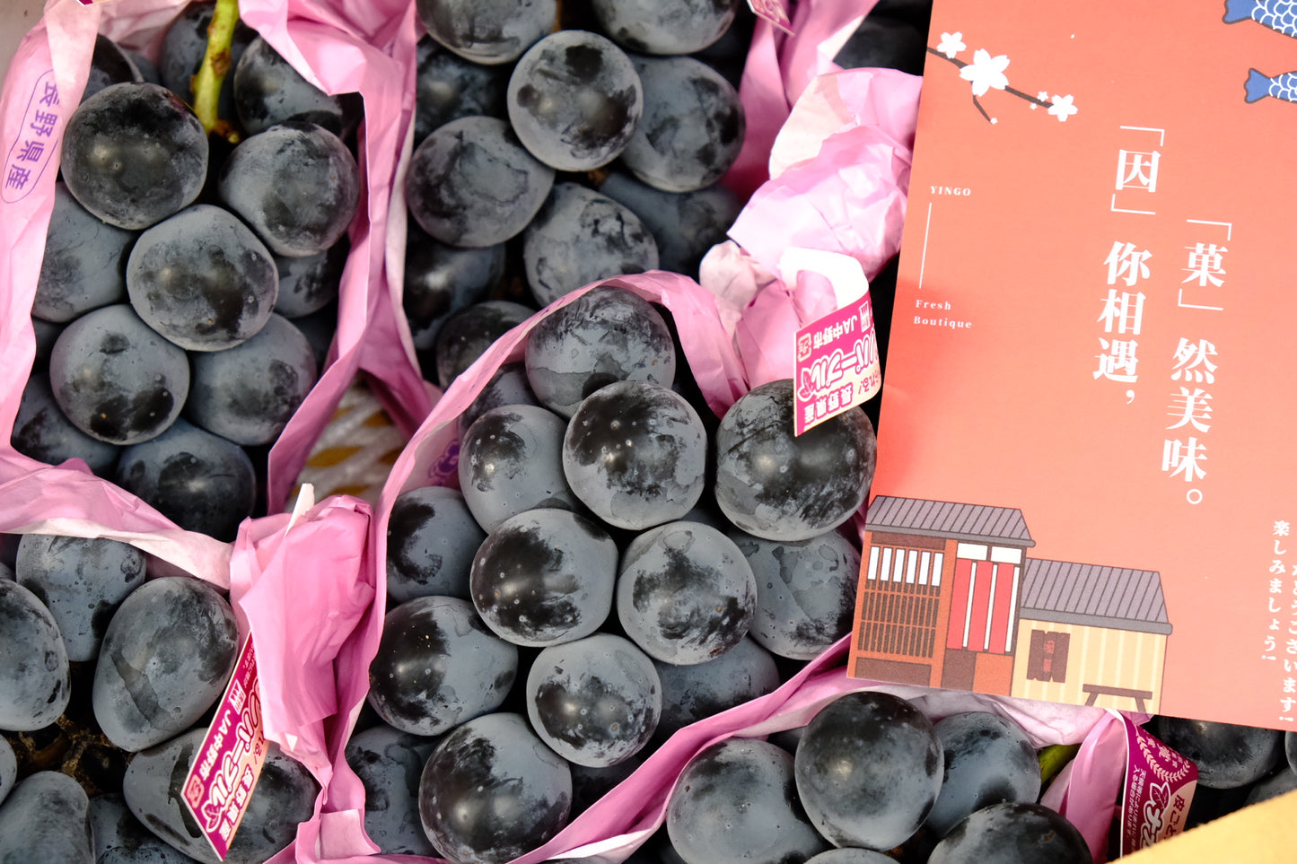Nagano Aurora Purple Tea