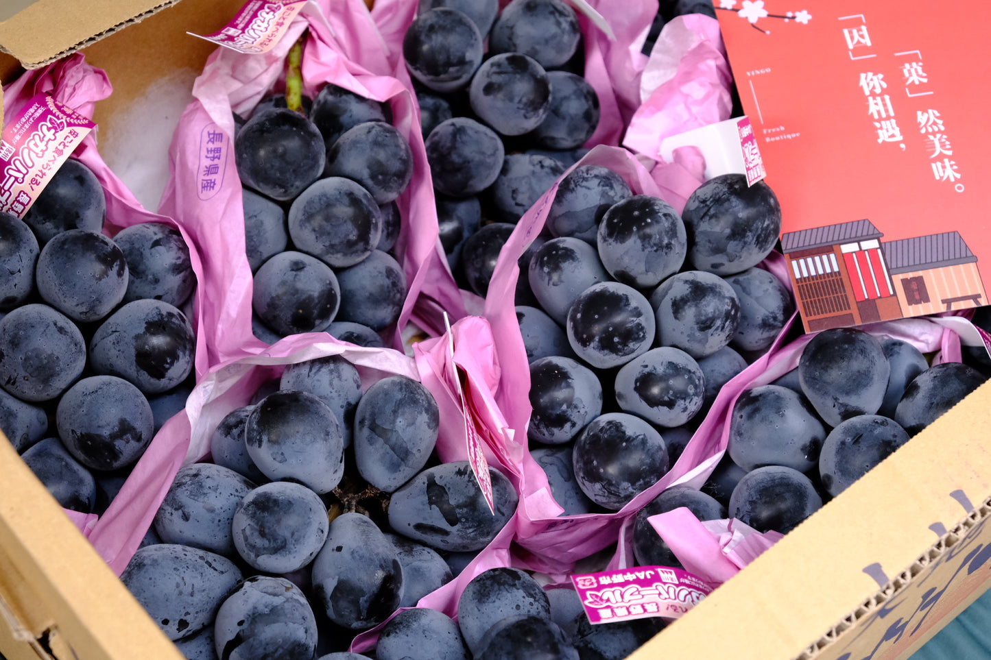Nagano Aurora Purple Tea