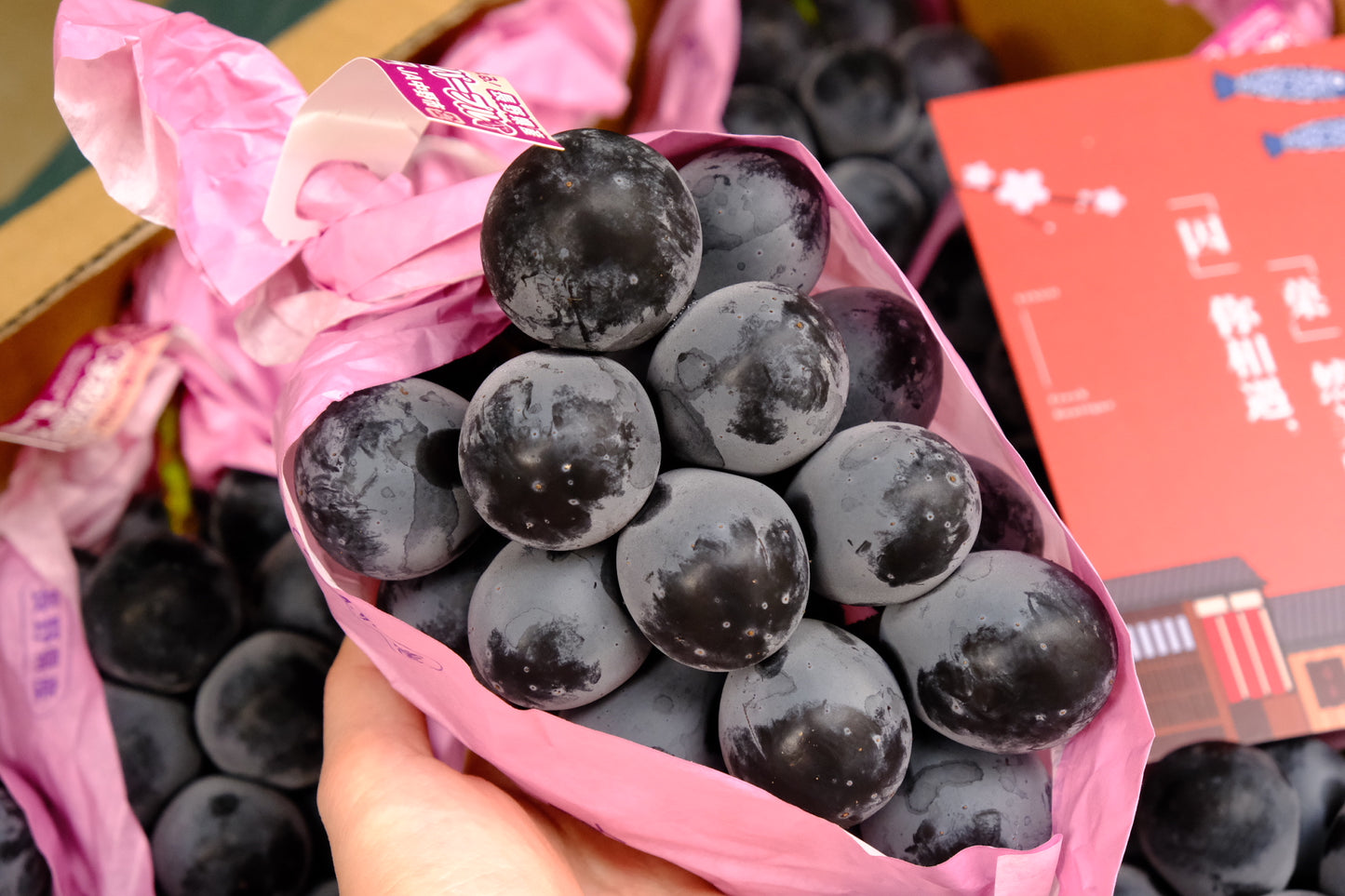 Nagano Aurora Purple Tea