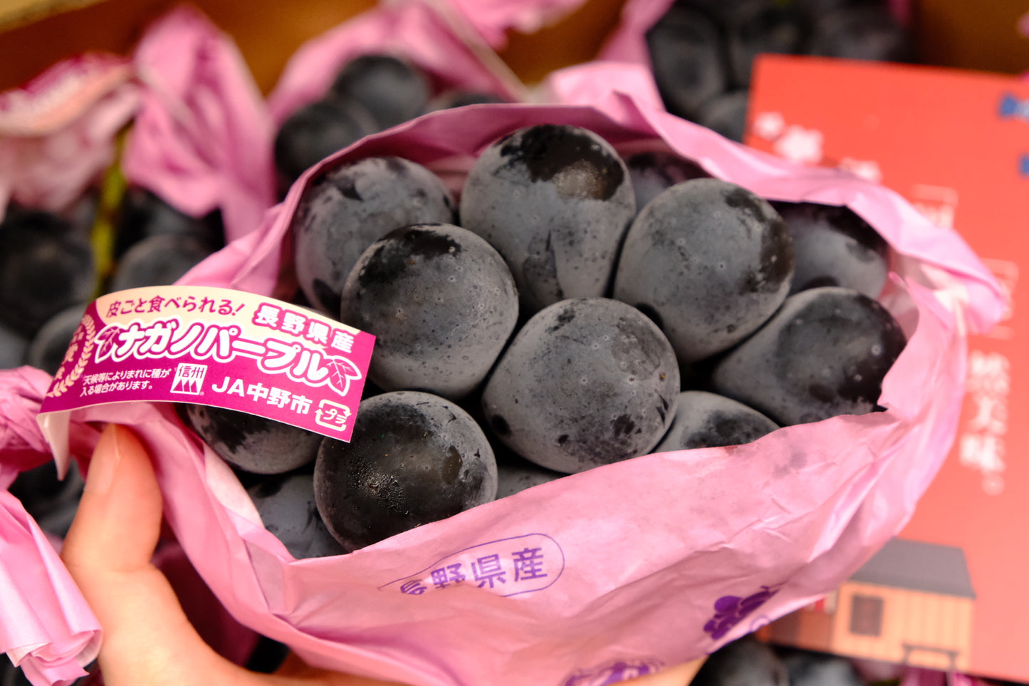 Nagano Aurora Purple Tea