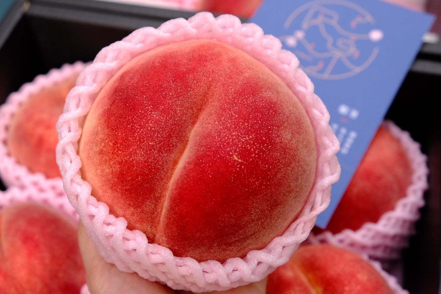 Yamagata open-field peach