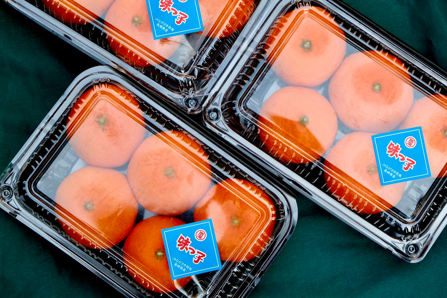 West Sea Mandarin Orange (packed)