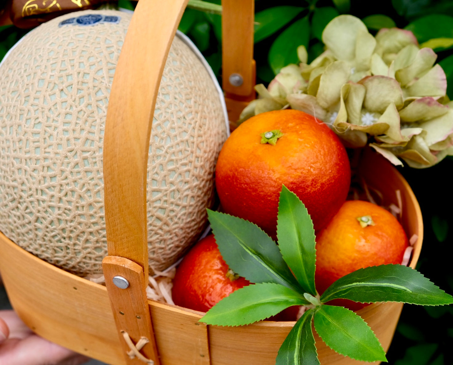 Spring fruit language