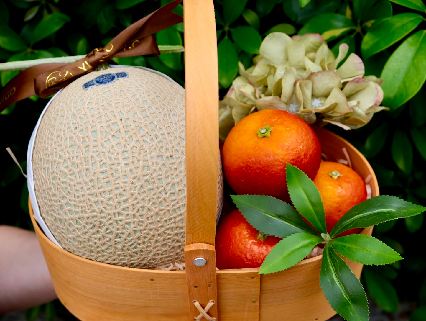 Spring fruit language