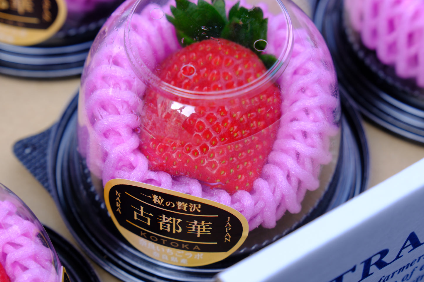 Nara Koto Hana Strawberry