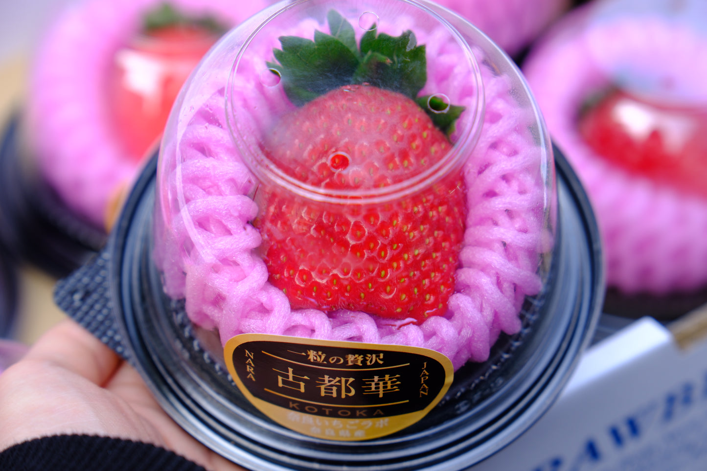 Nara Koto Hana Strawberry