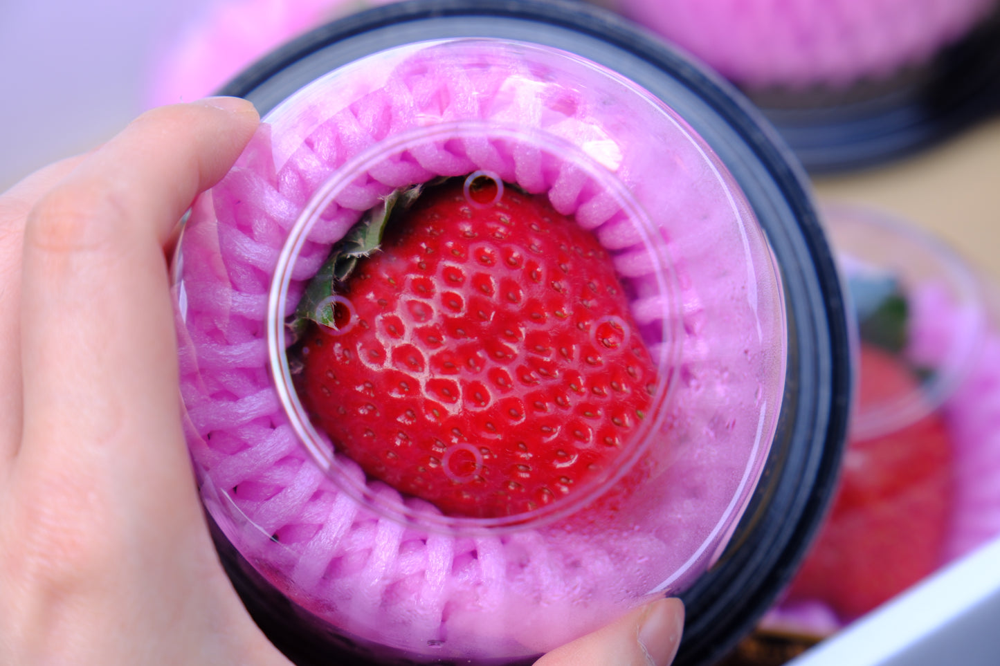 Nara Koto Hana Strawberry