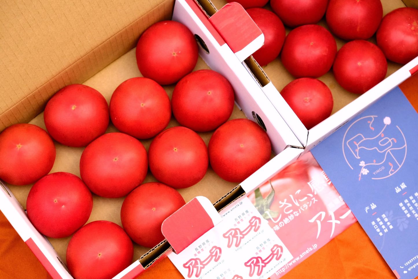 Shizuoka tomatoes