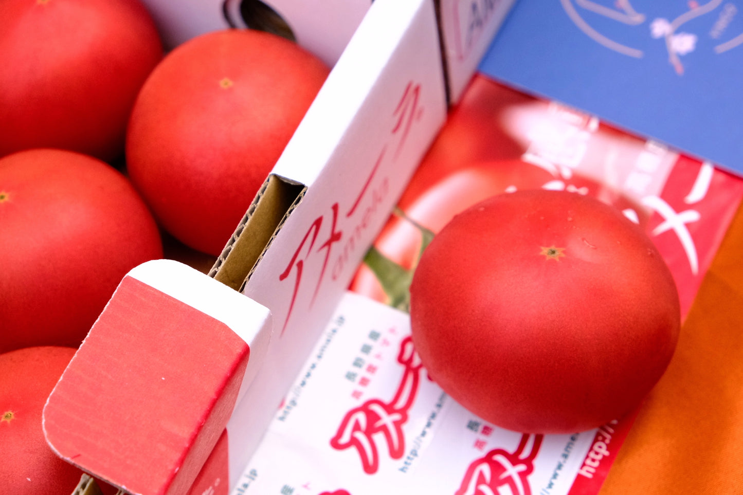 Shizuoka tomatoes