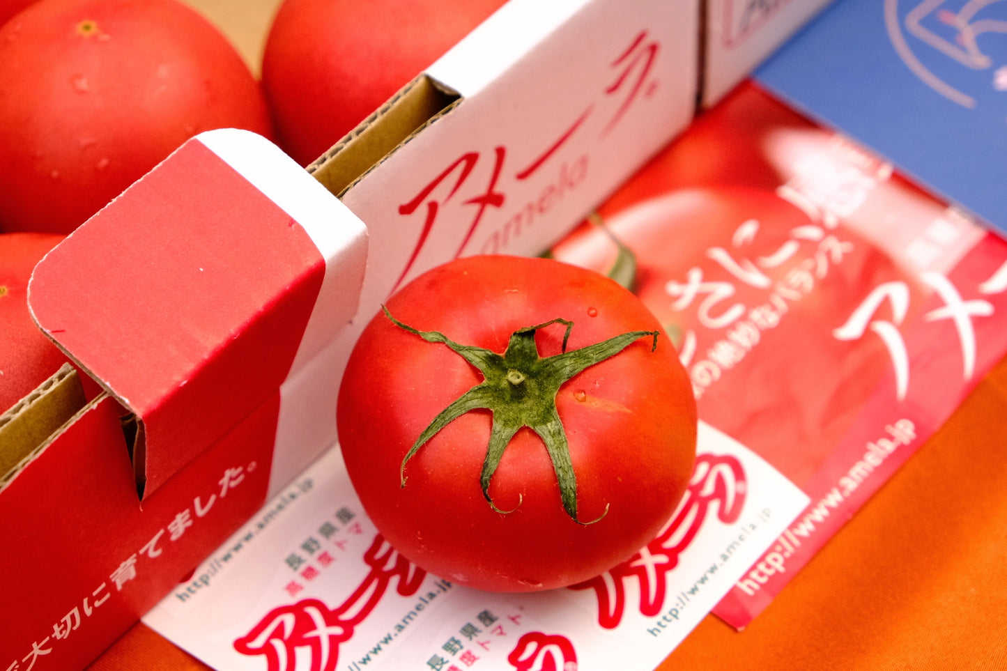 Shizuoka tomatoes