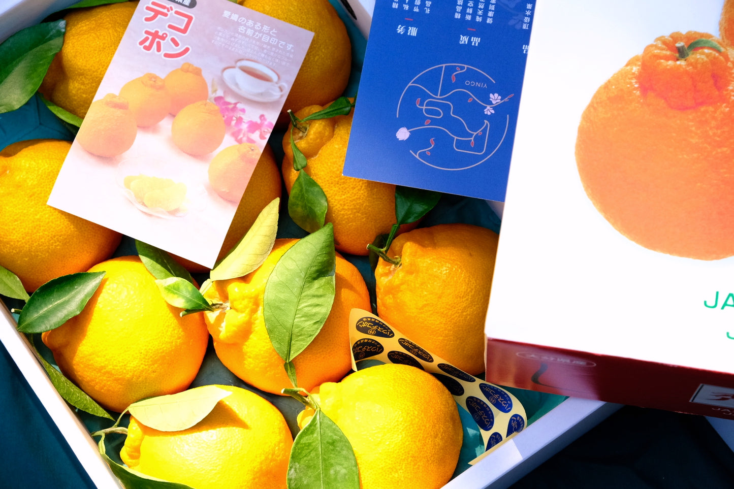 Oita Shiranui Nipple Orange