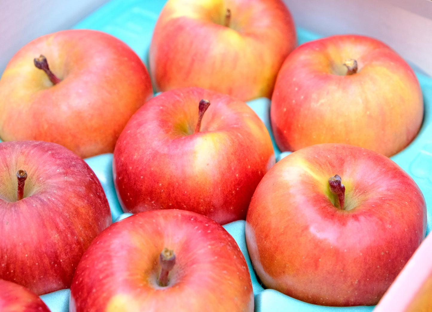 Aomori honey-filled apple