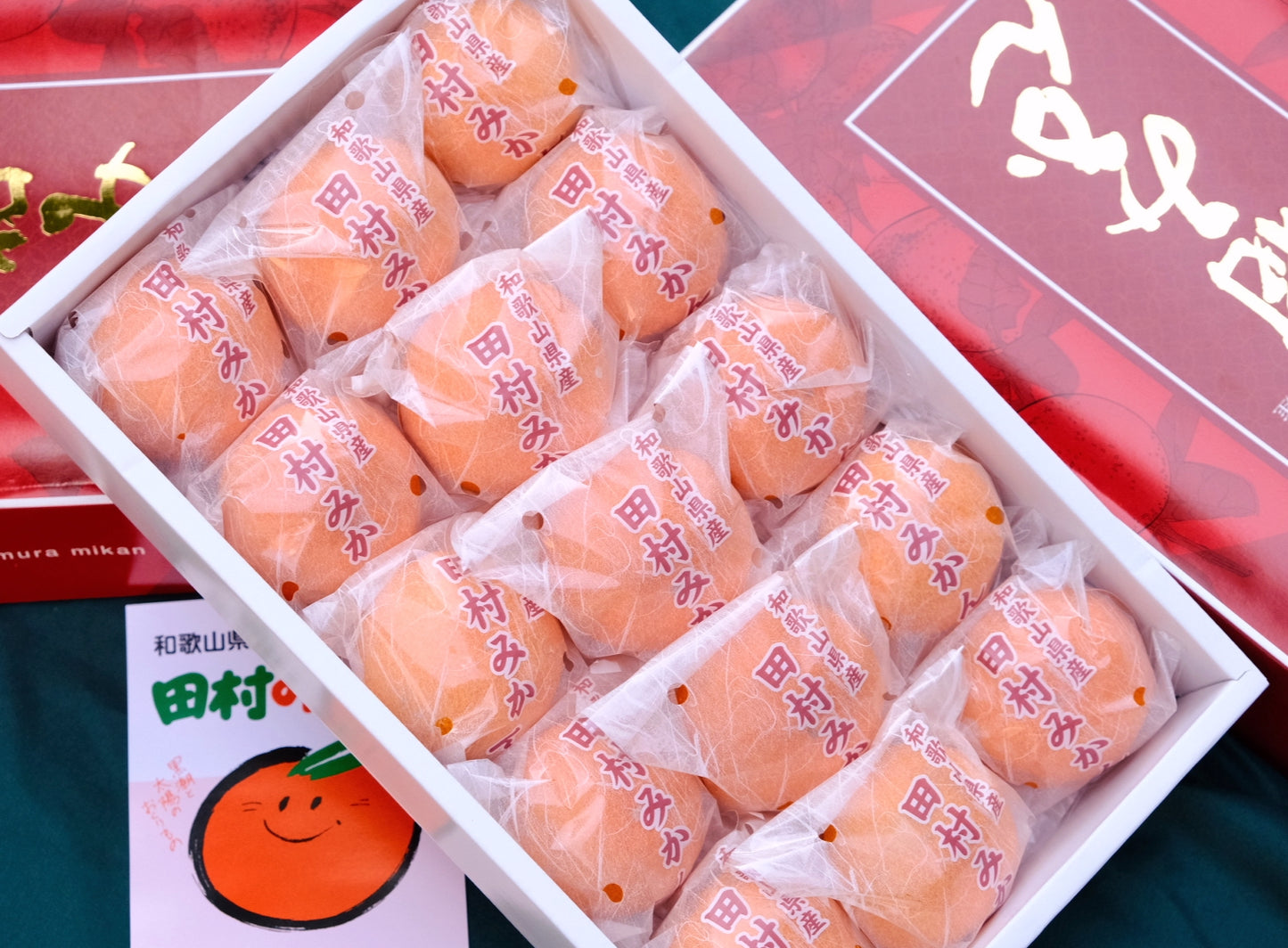 Wakayama Tamura Mikan