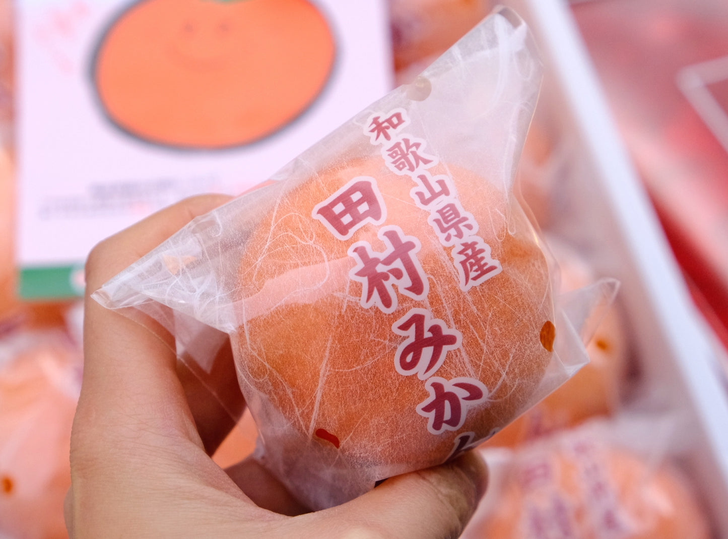 Wakayama Tamura Mikan