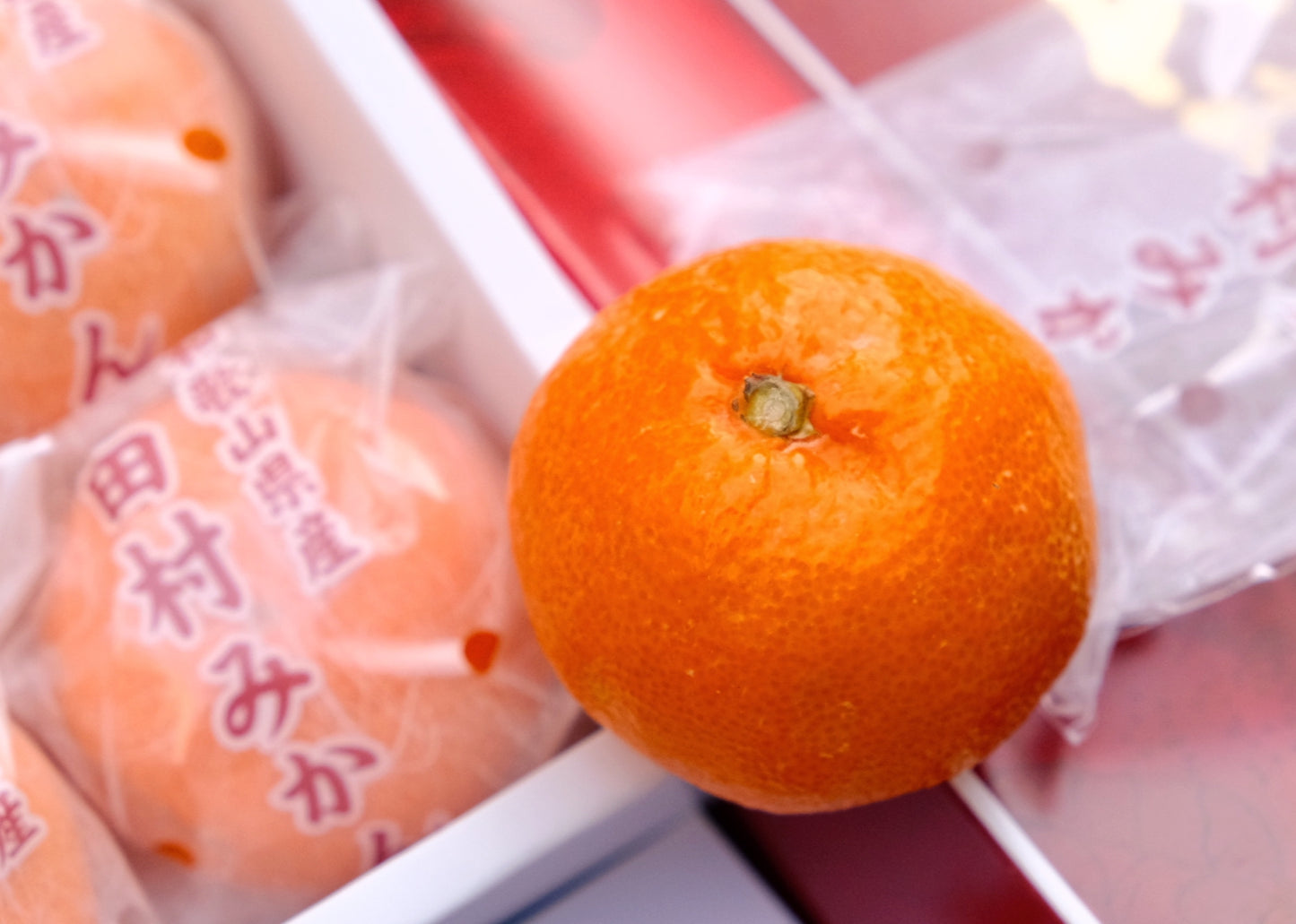 Wakayama Tamura Mikan