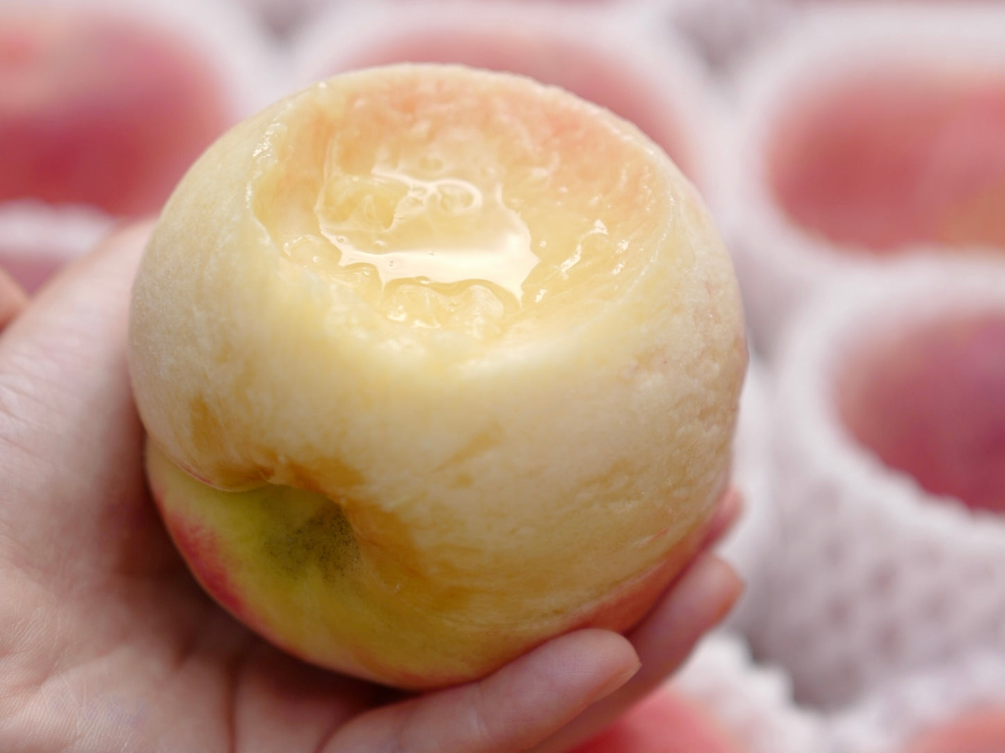 日本露地水蜜桃 (5kg)